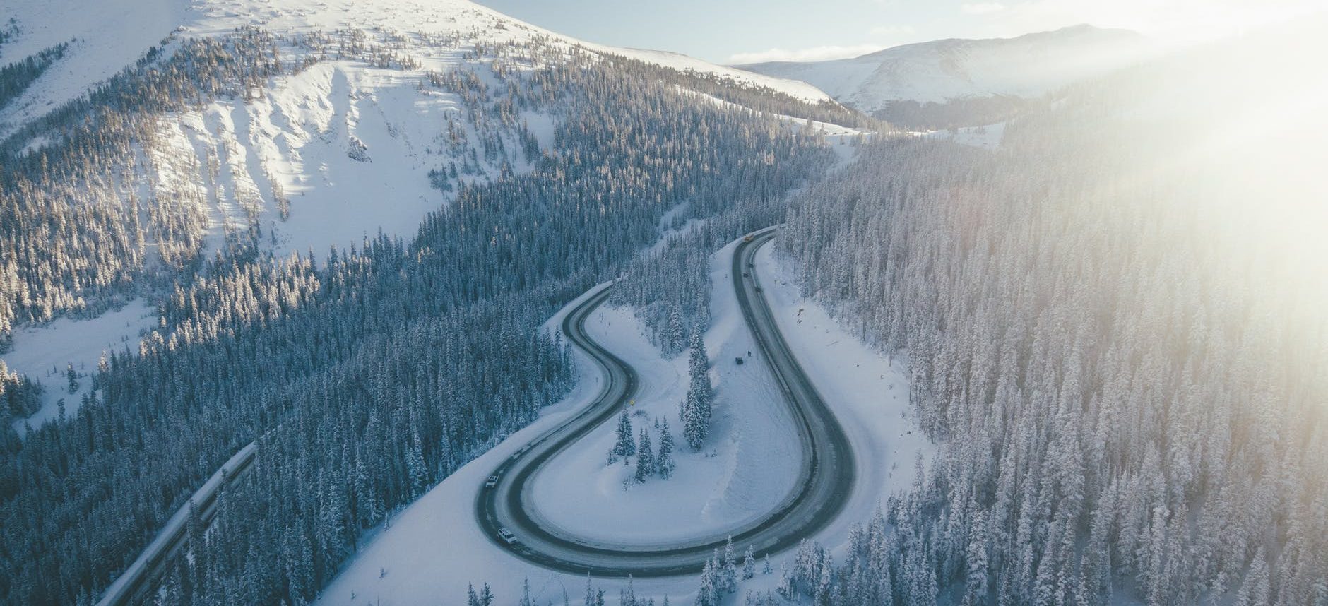 green pine trees on snow covered mountain