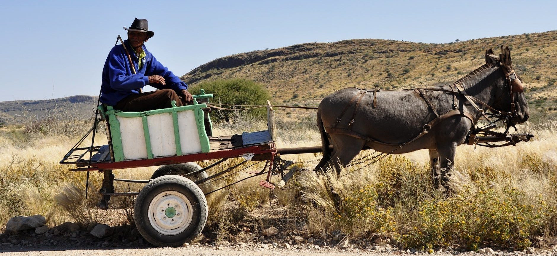 man riding on carriage pulled by donkey under blue sky during daytime