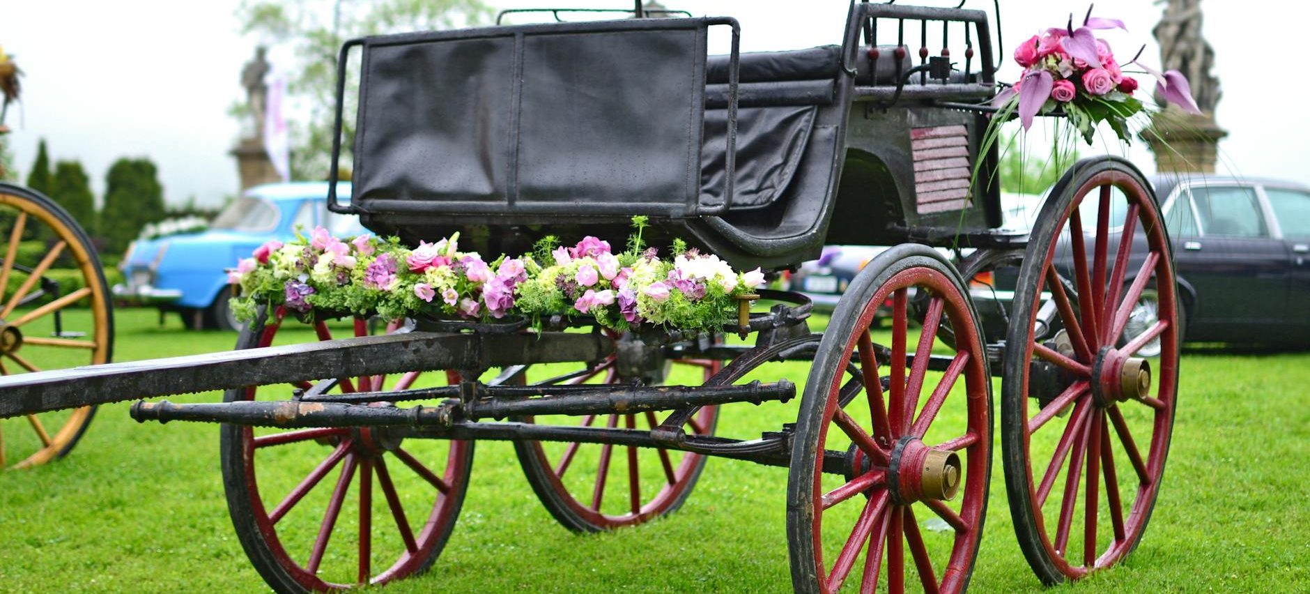 pink and purple flowers on black carriage