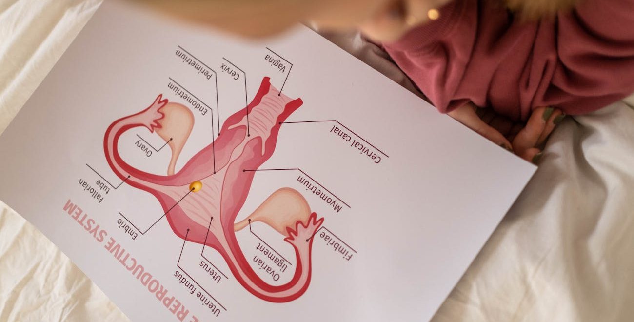 a paper with reproductive system parts