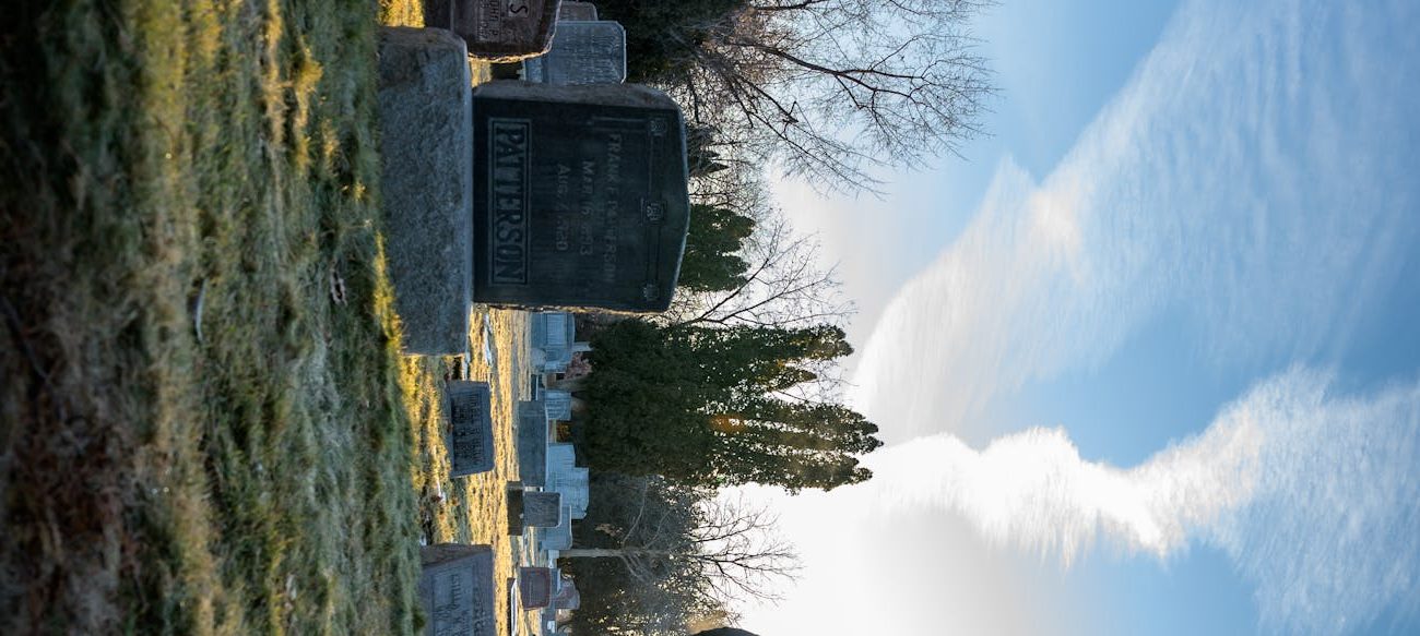 man walking on green grass